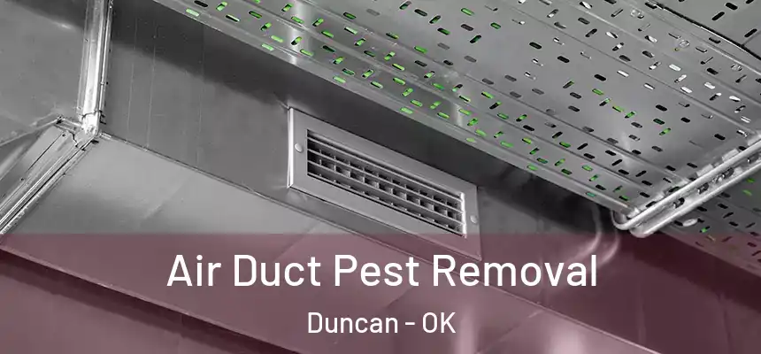 Air Duct Pest Removal Duncan - OK