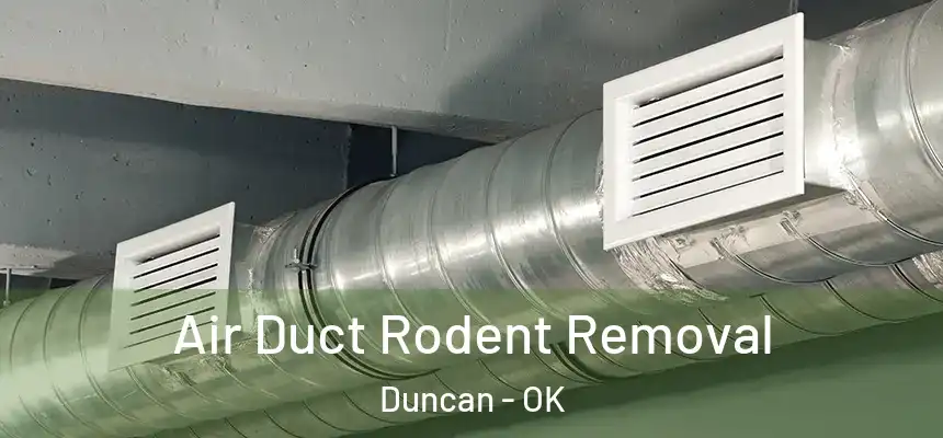 Air Duct Rodent Removal Duncan - OK