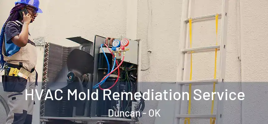  HVAC Mold Remediation Service Duncan - OK