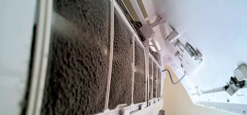 Preventive Air Duct Bacteria Removal in Duncan