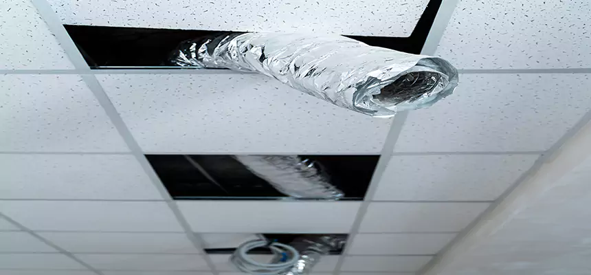 Our Air Duct Pet Hair Removal Services in Duncan, OK