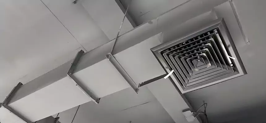 Our Rodent Droppings In Vents Services in Duncan, OK