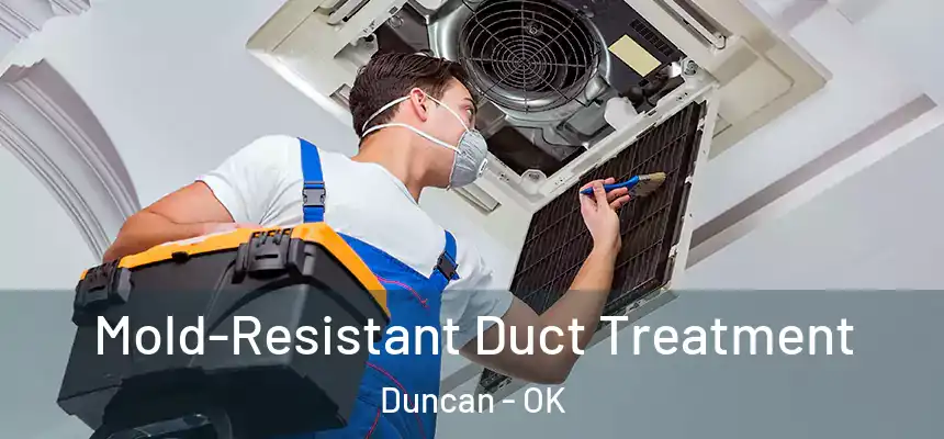  Mold-Resistant Duct Treatment Duncan - OK