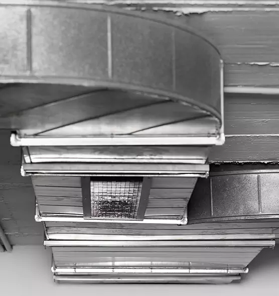 Professional Air Duct Pest Removal in Duncan, OK