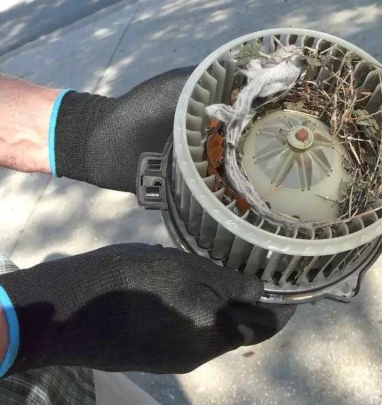 About Air Duct Rat Removal in Duncan, OK