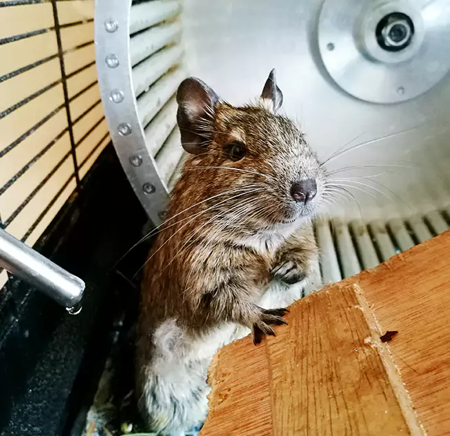 Why Homeowners & Businesses Trust Us Duncan, OK?